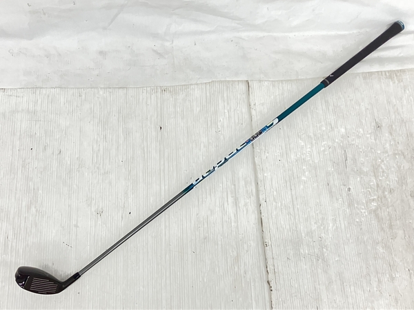 Callaway ROGUE STAR (アイアン)-