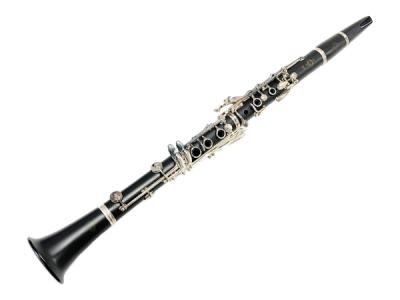 Buffet Crampon E12 Plus(クラリネット)の新品/中古販売 | 1834364