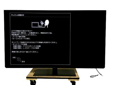 Panasonic パナソニック VIERA ビエラ TH-55FZ950 55V型 4K 有機EL テレビ