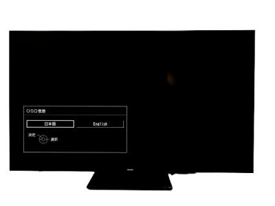 Panasonic VIERA TH-55LX950 テレビ パナソニック 55V型
