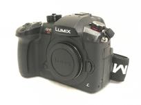 Panasonic DC-GH5S デジタル一眼カメラ LUMIX ボディ ブラックの買取