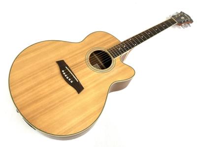 Ibanez  アイバニーズ　エレアコ　AEL50-CS LG アコギ