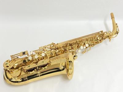 UNISON ユニソン 5002 アルト サックス ケース 付 管 楽器