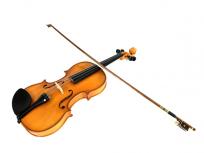 ヴァイオリン Roderick Paesold No.802 サイズ4/4 弓付 ローデリッヒ ペゾルド 弦楽器の買取