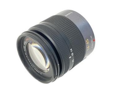 Panasonic LUMIX G VARIO 14-45 1:3.5-5.6 ASPH レンズ 写真 撮影