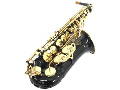 JUPITER ジュピター JAS-769-767 アルト サックス マウスピース ケース 付 本体 管楽器