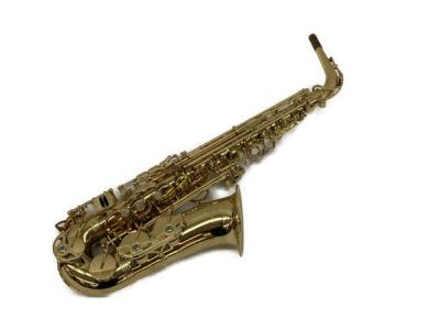 Yanagisawa ヤナギサワ A-WO1 アルトサックス ラッカー 仕上げ ケース付き