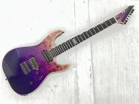ESP E-II M-III エレキ ギター EMG アクティブピックアップ Floyd Rose 楽器の買取