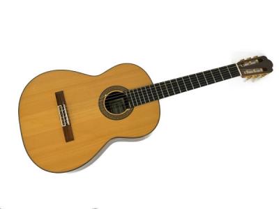 ASTURIAS PRELUDES クラシックギター セミハードケース 付