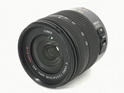 Panasonic LUMIX G VARIO 14-45 1:3.5-5.6 ASPH レンズ 写真 撮影