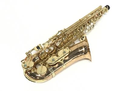 YANAGISAWA ヤナギサワ WO2 アルト サックス 管楽器 ケース マウスピース リガチャ 付 楽器