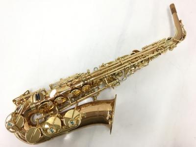 YANAGISAWA ヤナギサワ WO2 アルト サックス 管楽器 ケース マウスピース リガチャ 付 楽器
