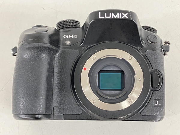 Panasonic DMC-GH4(ミラーレス一眼)-