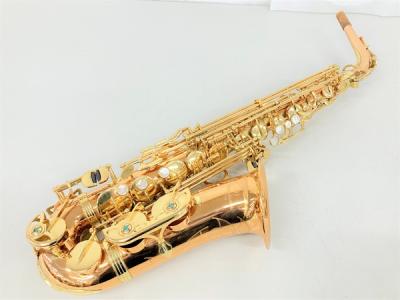YANAGISAWA ヤナギサワ WO2 アルト サックス 管楽器 ケース マウスピース リガチャ 付 楽器
