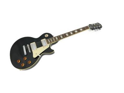 Epiphone Les Paul Standard エレキギター 楽器