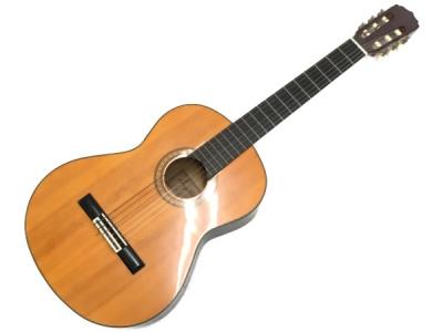 【新品弦張替済】Angelica アコースティックギター 日本製
