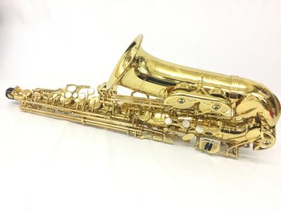Yanagisawa ヤナギサワ A-WO1 アルトサックス ラッカー 仕上げ ケース付き