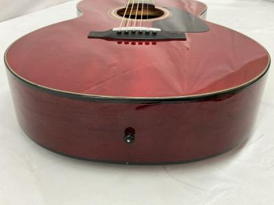 タカミネ アコースティックギター t f2tbs - メルカリ