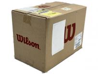 WILSON WRT103800 TOUR STANDARD テニスボール 4球入り 15缶 1箱