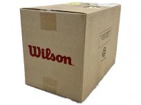 WILSON WRT103800 TOUR STANDARD テニスボール 4球入り 15缶 1箱