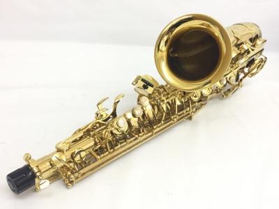 Selmer セルマー シリーズIII  W/E GL アルトサックス