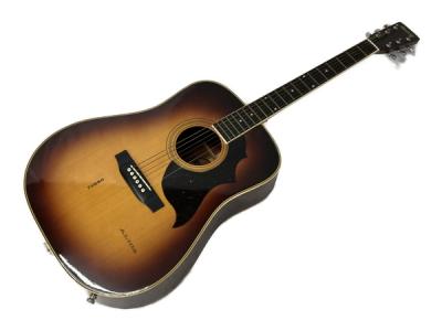 Morris MD-505(アコースティックギター)の新品/中古販売 | 1264942