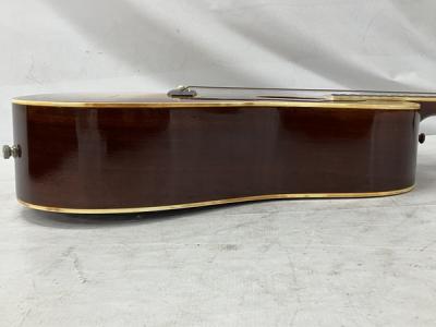 Morris MD-505(アコースティックギター)の新品/中古販売 | 1264942