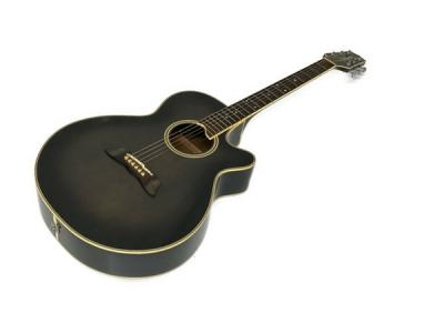 Takamine PT-108 (アコースティックギター)の新品/中古販売