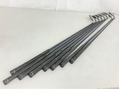 Callaway BIG BERTHA アイアン 4-10 セット FLEX R ゴルフクラブ キャディバッグ付き