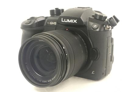 Panasonic GH5 LUMIX G DC-GH5M-K 標準ズームレンズキット G VARIO 12-60mm/F3.5-5.6 H-F デジタルカメラ