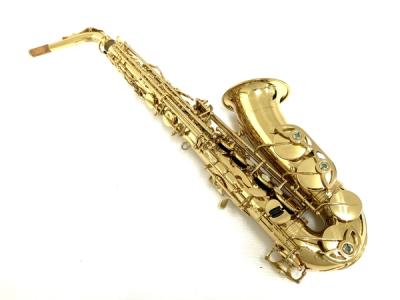 Yanagisawa ヤナギサワ A-WO1 アルトサックス ラッカー 仕上げ ケース付き