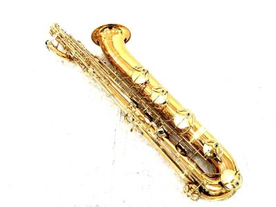Yanagisawa ヤナギサワ B-992 バリトンサックス 管楽器 ハードケース付