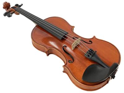Andreas Eastman イーストマン VL80 4/4 2017年製 バイオリン ケース付 楽器