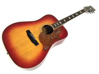 モーリス ギター Morris WH-30 Morris WH-30(アコースティックギター)の新品/中古販売