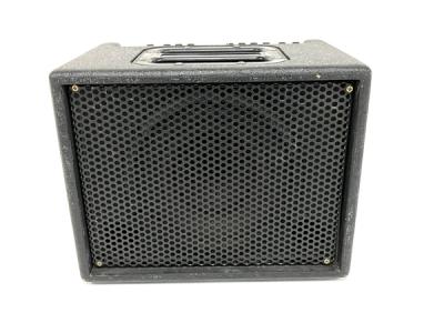 AER BINGO アコースティックアンプ AER BINGO ギターアンプ 定番／名機