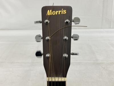 Morris MD-505(アコースティックギター)の新品/中古販売