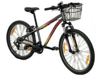 SPECIALIZED HOTROCK 20インチ キッズバイク 子供用自転車 スペシャライズド 大型