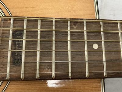 Terada W-180(アコースティックギター)の新品/中古販売