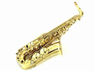 Selmer セルマー シリーズIII  W/E GL アルトサックス