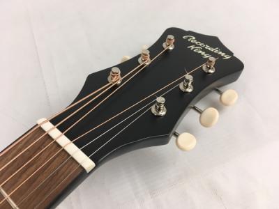 RECORDING KING DIRTY37】アコースティックギター販売中！