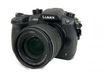Panasonic LUMIX DC-GH5M G VARIO 3.5-5.6/12-60 ASPH デジタル 一眼レンズセット