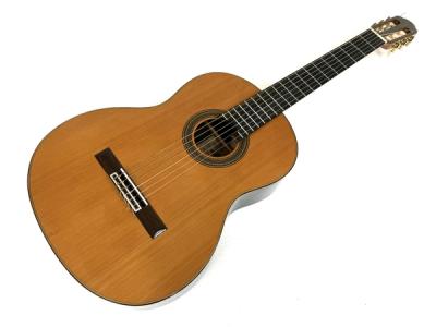 Aria A-50C アコースティックギター ケース付