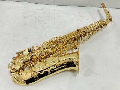 Yanagisawa ヤナギサワ A-WO1 アルトサックス ラッカー 仕上げ ケース付き