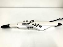 Roland AE-20 Aerophone デジタル管楽器の買取