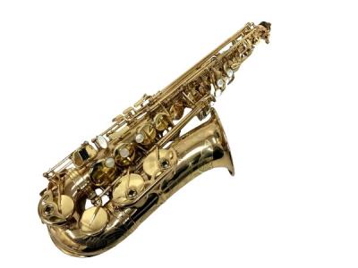 訳あり SELMER アルトサックス SuperAction 80 SERIE2 SA80II