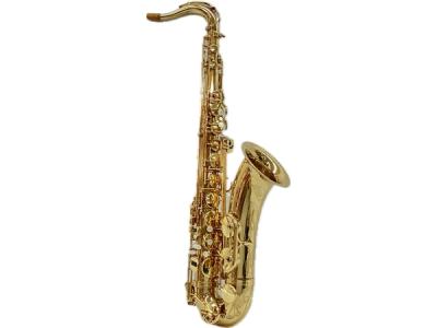 SELMER SA80Ⅱ Super Action Series Ⅱ テナー B♭テナーサクソフォン スーパーアクション80 シリーズ2｜Henri