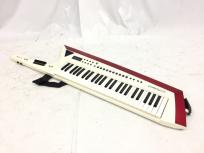 Roland ローランド AX-Edge ショルダー キーボード 49鍵 ソフトケース付 鍵盤 楽器 シンセサイザーの買取