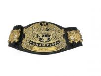 レプリカ WWE UNDISPUTED チャンピオンベルト カートアングルサイン入り