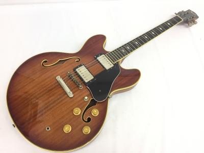 Vesta Graham VGD-1000 セミアコースティック ギター セミアコ エレキ 弦 楽器 ベスタグラハム