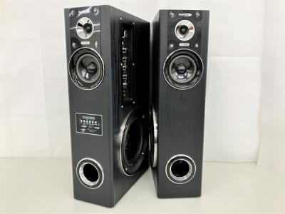 Bearmax TS-120BW アンプ内蔵パワー スピーカー ペア ベアーマックス 音響